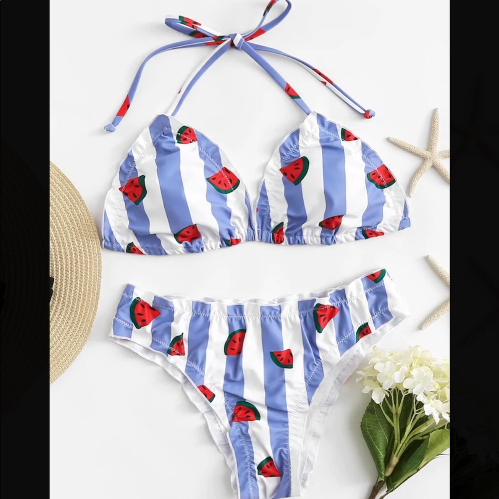 Striped Watermelon Print Two Piece Bikini Set